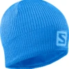 Salomon Logo Beanie (Indigo Bunting/Blithe)