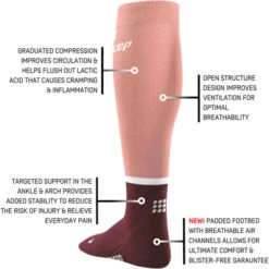 CEP Women's Run Tall Socks 4.0 (Rose/Dark Red) 9 CEP Women's Run Tall Socks 4.0 (Rose/Dark Red) -Clothing Store Online Run Socks 4 0 rose dark red WP201R W infographic 5 540x 92b35083 cafb 4e95 8eb1 b640cfeb115c