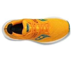Saucony Men's Triumph 20 (30 - Gold/Palm) -Clothing Store Online S20759 30 3